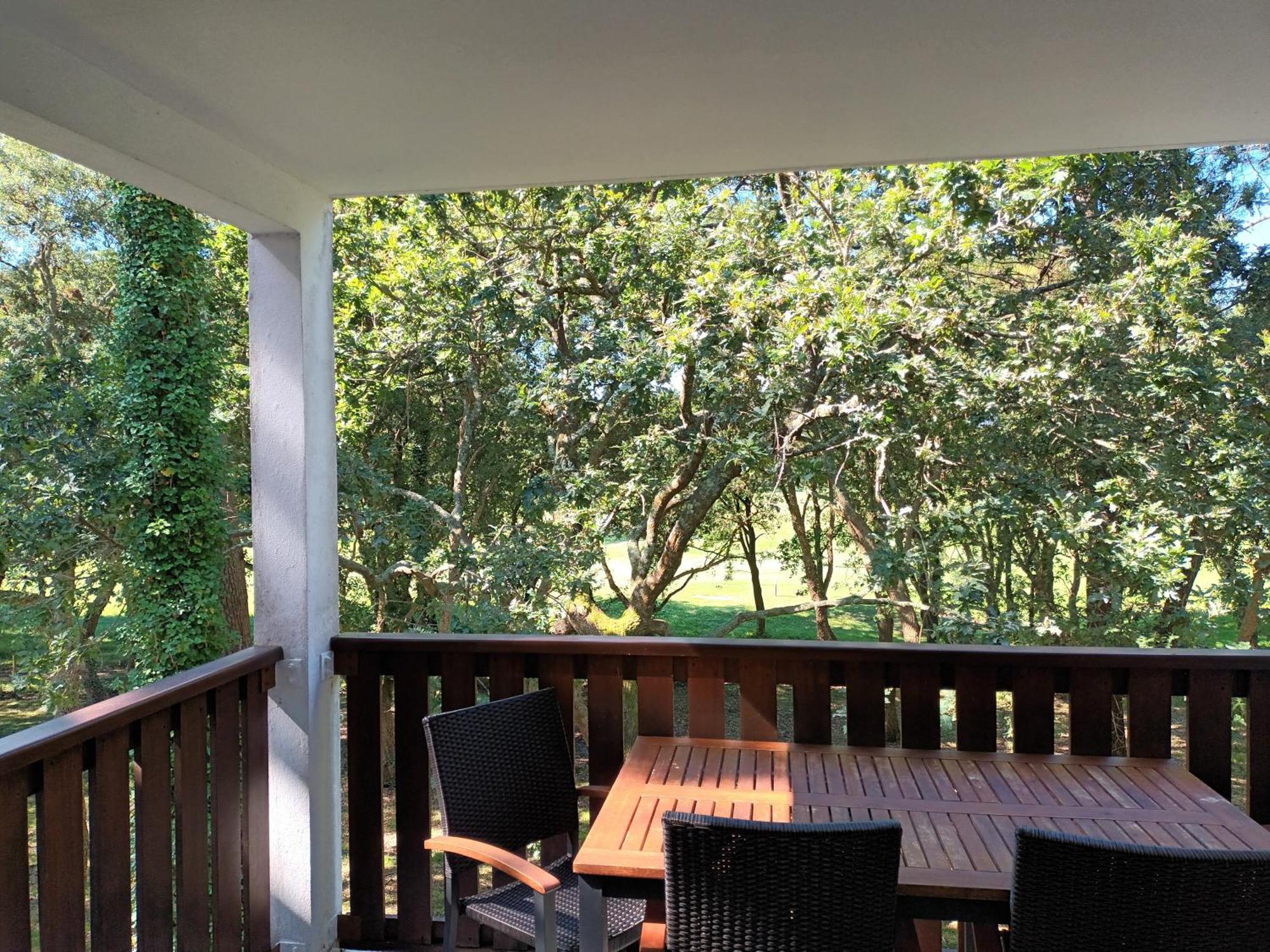 Moliets Plage Appartement Pour 4 Piscine Proche Plage Et Commerces エクステリア 写真