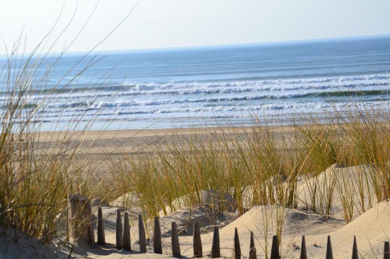 Moliets Plage Appartement Pour 4 Piscine Proche Plage Et Commerces エクステリア 写真